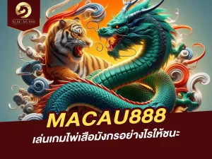 เล่นเกมไพ่เสือมังกรอย่างไรให้ชนะบน MACAU888