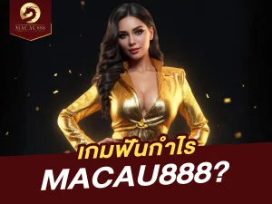 เกมไหนที่ทำกำไรดีที่สุดบน MACAU888?